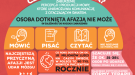 Gdy głowa słowa chowa, czyli problem afazji. Zdrowie, LIFESTYLE - Gdy głowa słowa chowa, czyli problem afazji. Startup Neuro Device chce jej zapobiec.