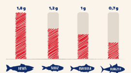 Za co lubimy kwasy omega-3? Zdrowie, LIFESTYLE - Według dietetyków powinniśmy spożywać ryby co najmniej 2 razy w tygodniu, w tym co najmniej raz ryby tłuste, takie jak łosoś, makrela, czy śledź. Dlaczego?