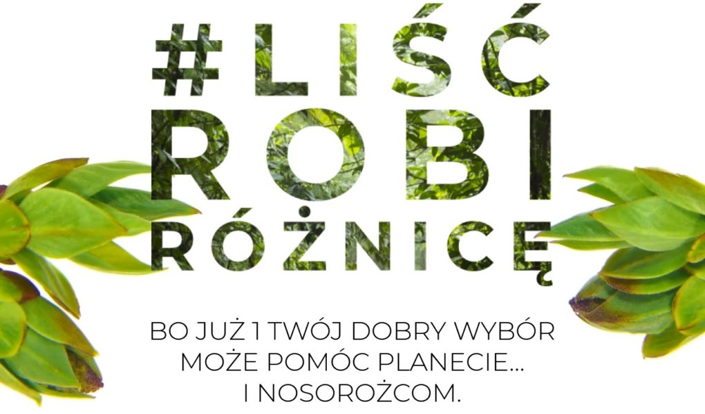 Liść, nosorożec i ekologia – co łączy te trzy elementy? „Liść robi różnicę” – start proekologicznej kampanii społecznej