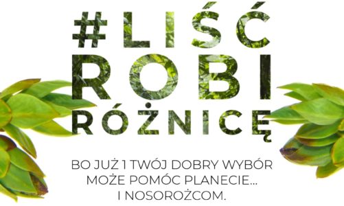 Liść, nosorożec i ekologia – co łączy te trzy elementy? „Liść robi różnicę” – start proekologicznej kampanii społecznej